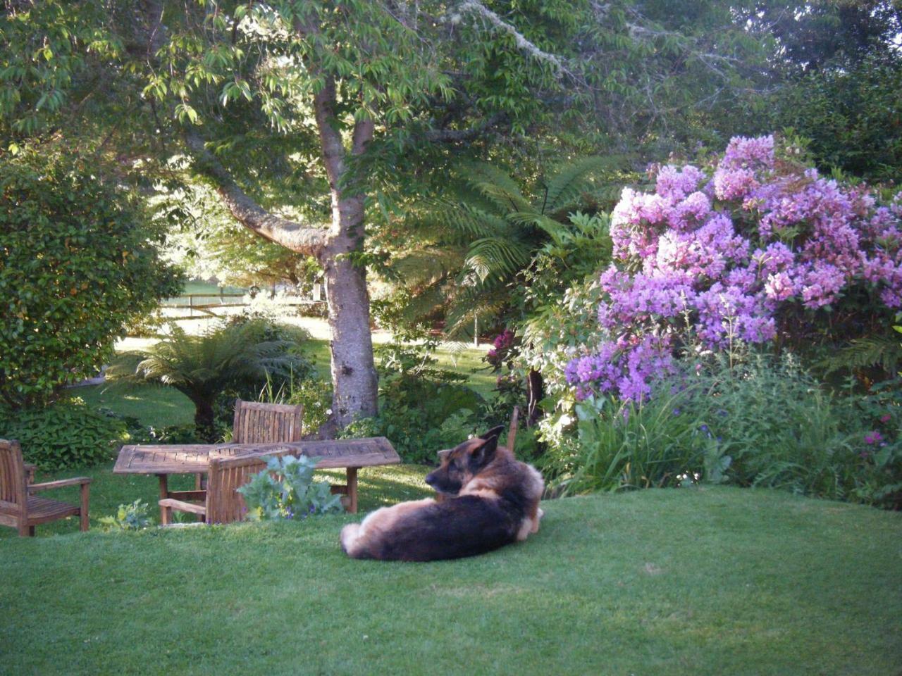 Twynham At Kinloch Bed & Breakfast エクステリア 写真